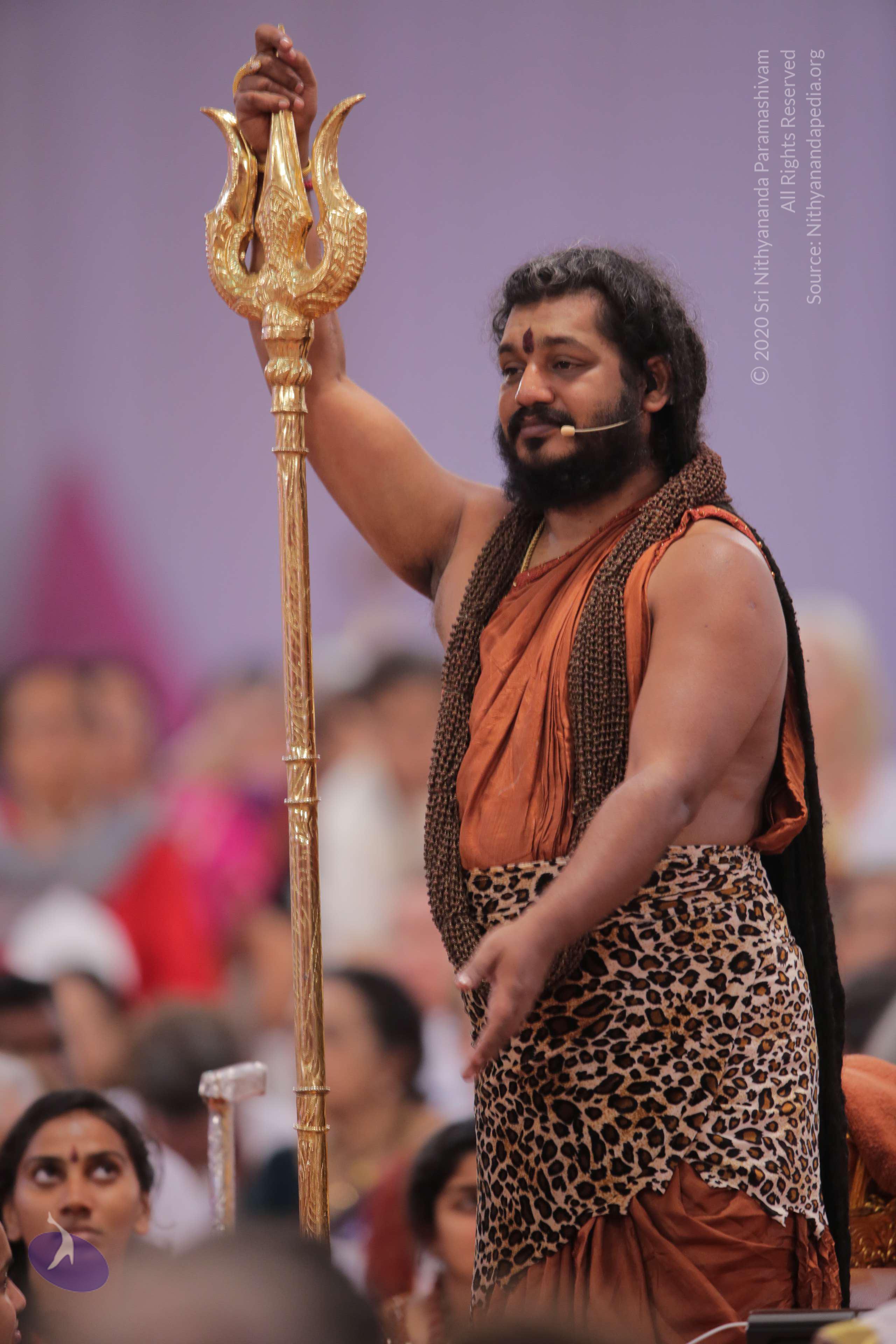 20161204_Photo_1206_G28A3856_CMP_WM